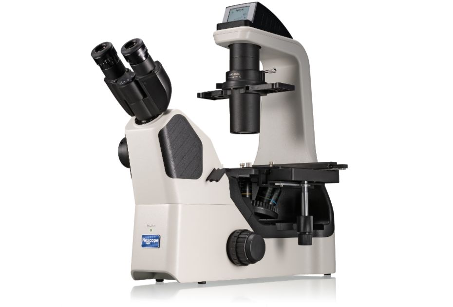 Microscopes optiques professionnels